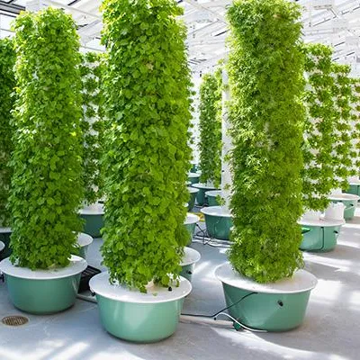 Hydroponic Tower - Аэропонные башенные системы для садоводства с