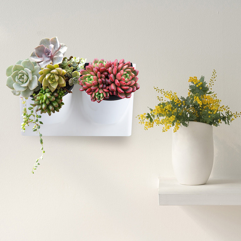 Self Watering Planter - Самополивной горшок для цветов из пластика,