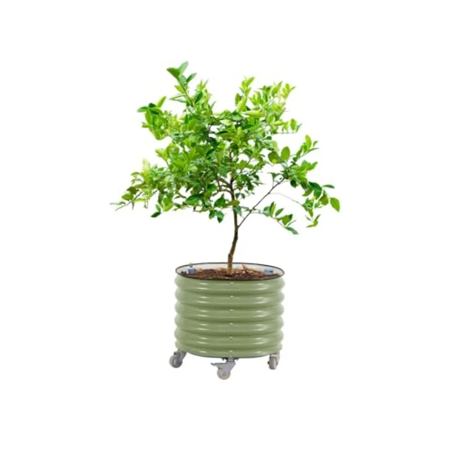 Self Watering Planter - Круглые большие кашпо для цитрусовых Gen