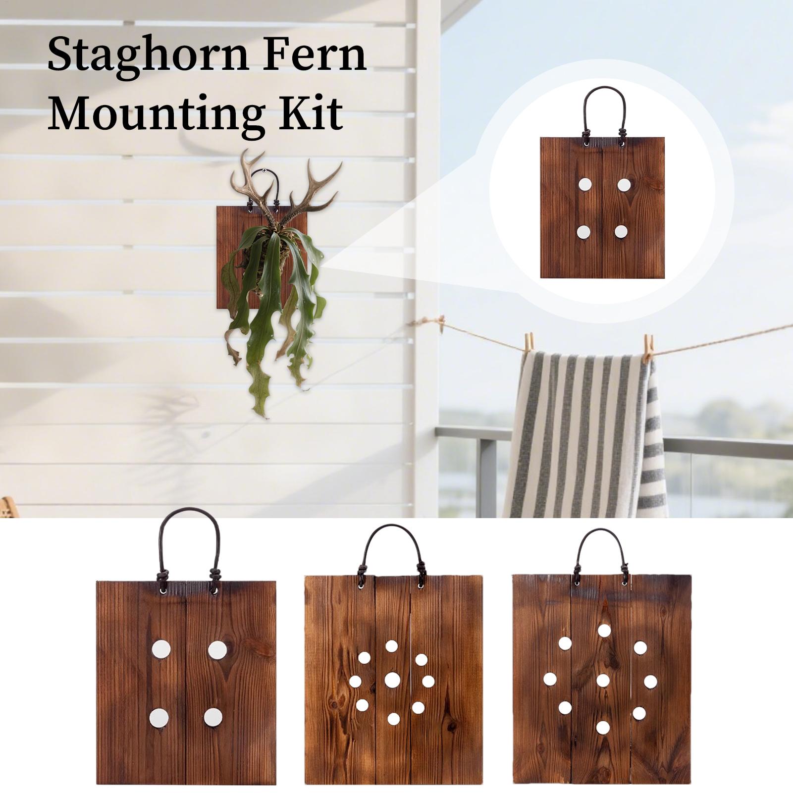 Indoor Garden Kit - Настенная деревянная подставка для растений Staghorn
