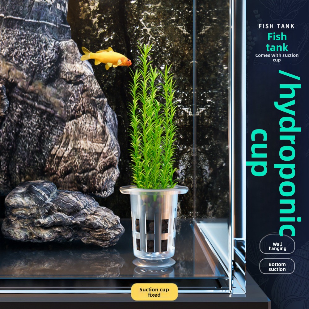 10 шт. прозрачных пластиковых  – обзор и цена Hydroponic Grow Pod