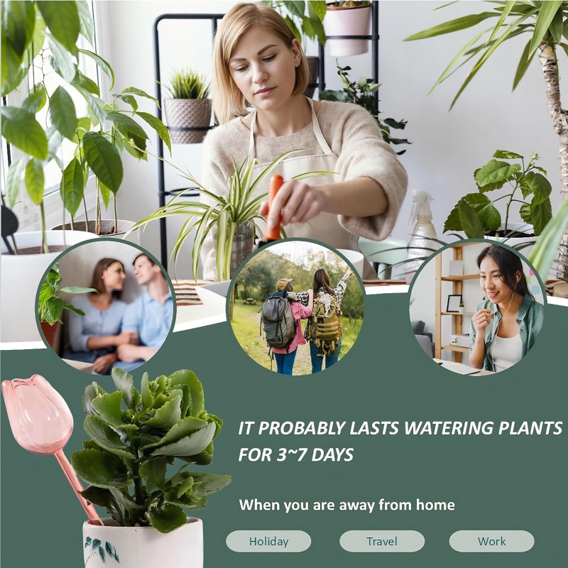 Розовые шарики-капельницы для  – обзор и цена Plant Sensor