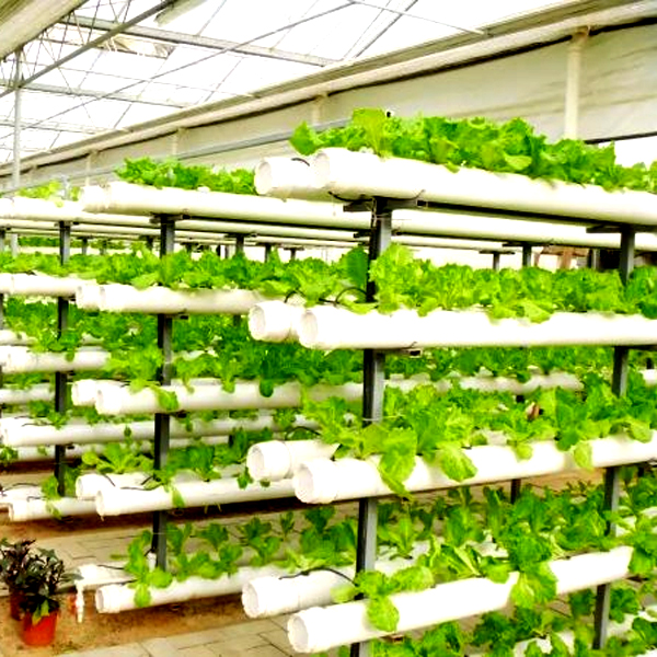 Уличные гидропонные башенные с – обзор и цена Hydroponic Tower
