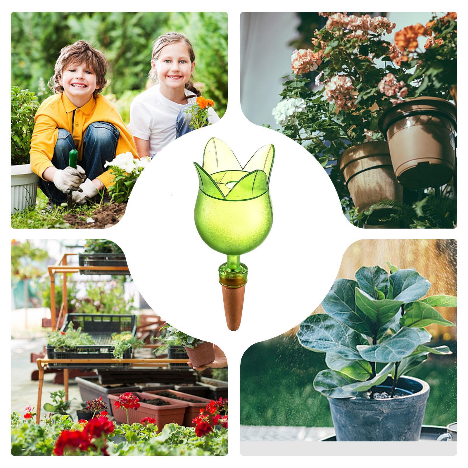 Устройства для самостоятельног – обзор и цена Self Watering Planter