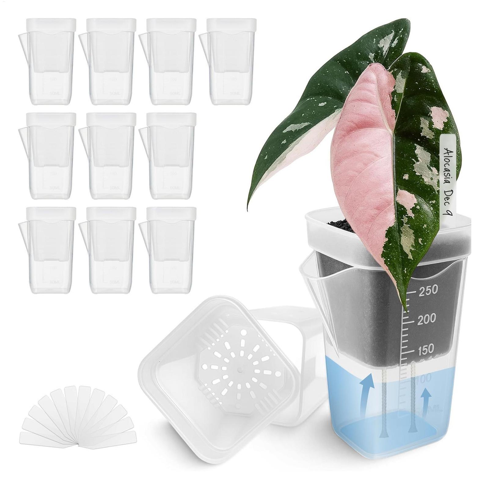 10 прозрачных самополивающихся – обзор и цена Hydroponic Grow Pod