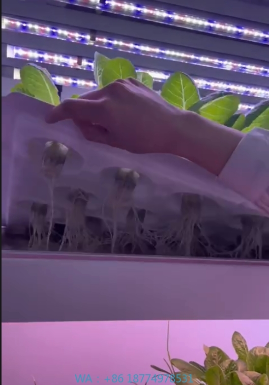 f Теплица Сельскохозяйственное – обзор и цена Hydroponic Tower