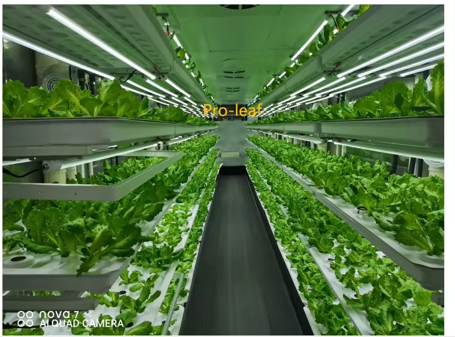 f Теплица Сельскохозяйственное – обзор и цена Hydroponic Tower