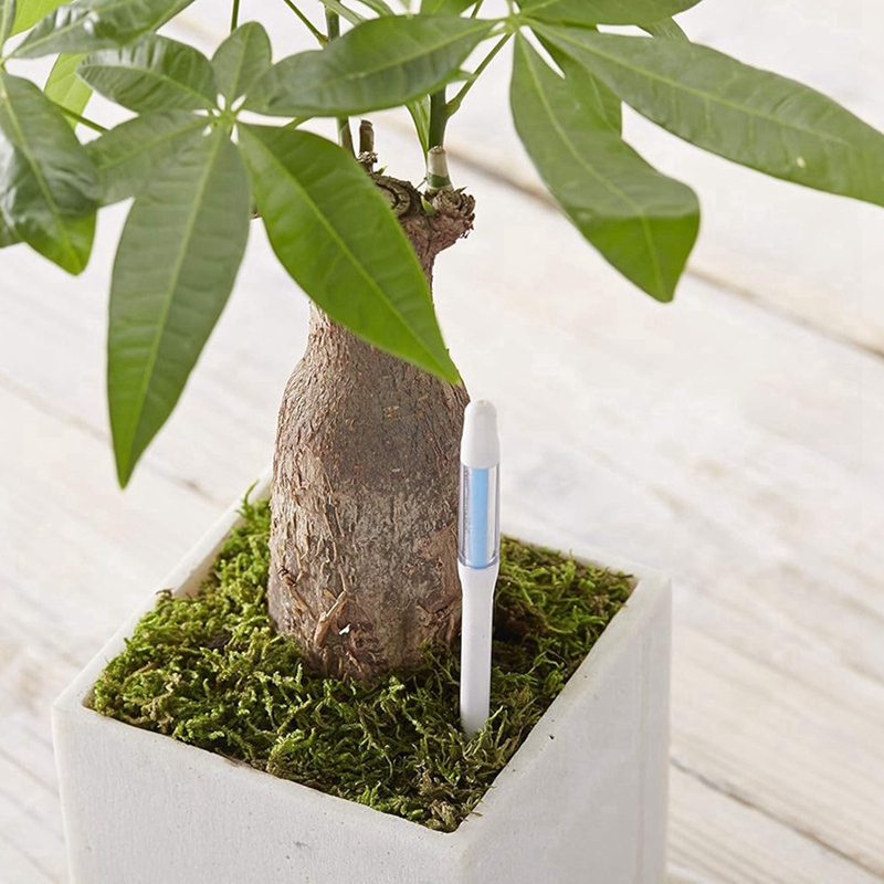Измеритель влажности почвы Aqu – обзор и цена Plant Sensor