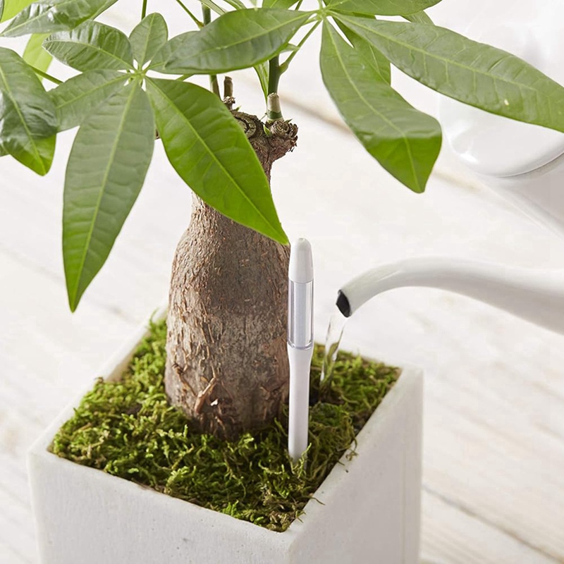 Измеритель влажности почвы Aqu – обзор и цена Plant Sensor