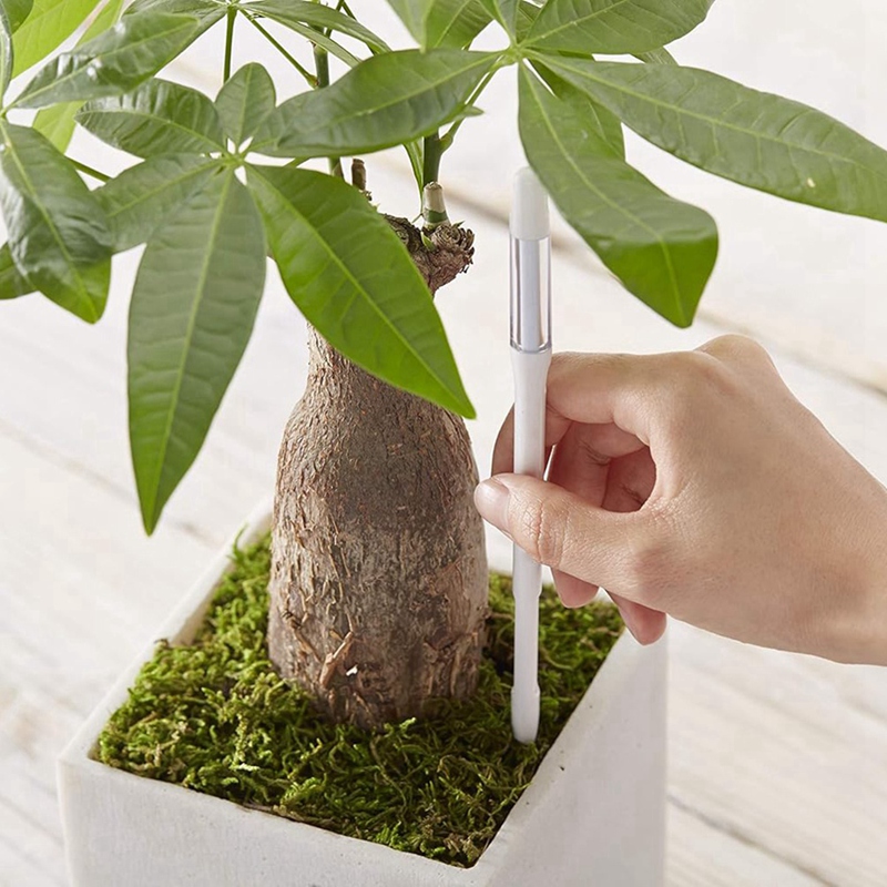 Измеритель влажности почвы Aqu – обзор и цена Plant Sensor