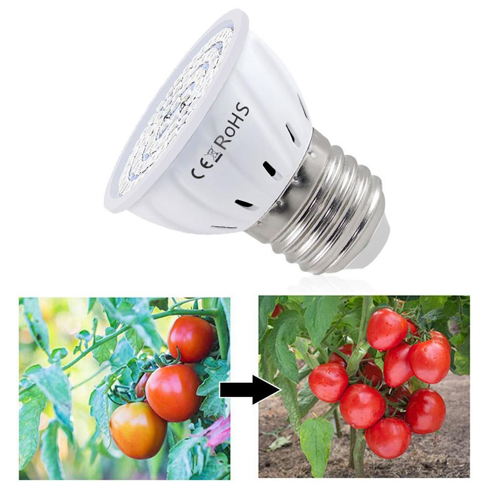 Светодиодная лампа для растени – обзор и цена Plant Grow Light Full Spectrum