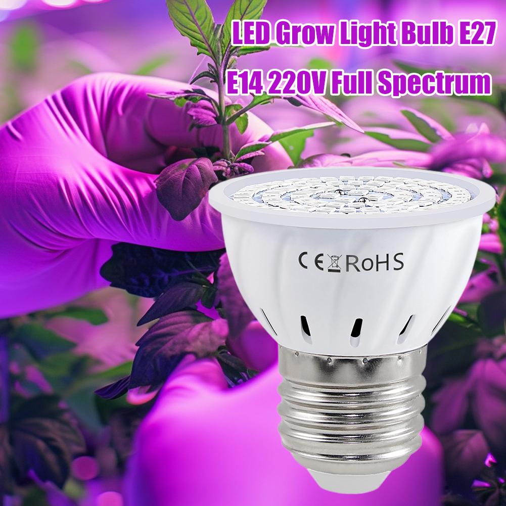 Светодиодная лампа для растени – обзор и цена Plant Grow Light Full Spectrum