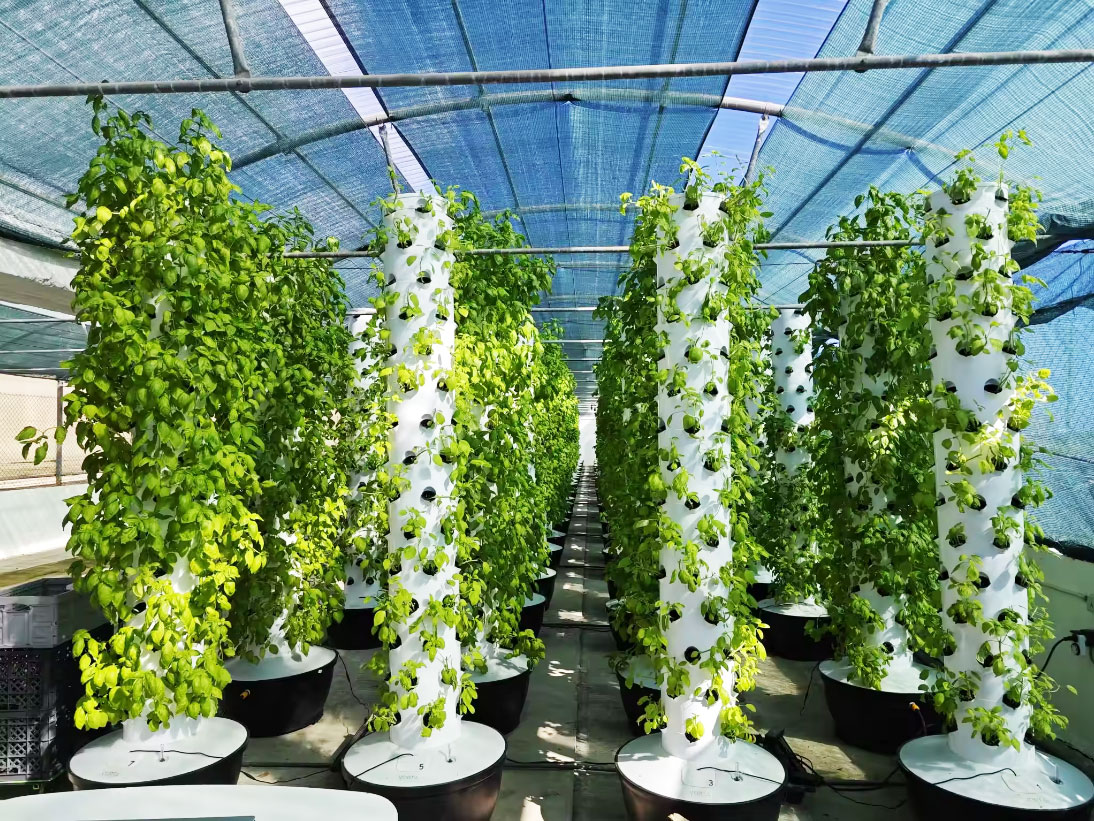 Высококачественная, простая в  – обзор и цена Hydroponic Tower