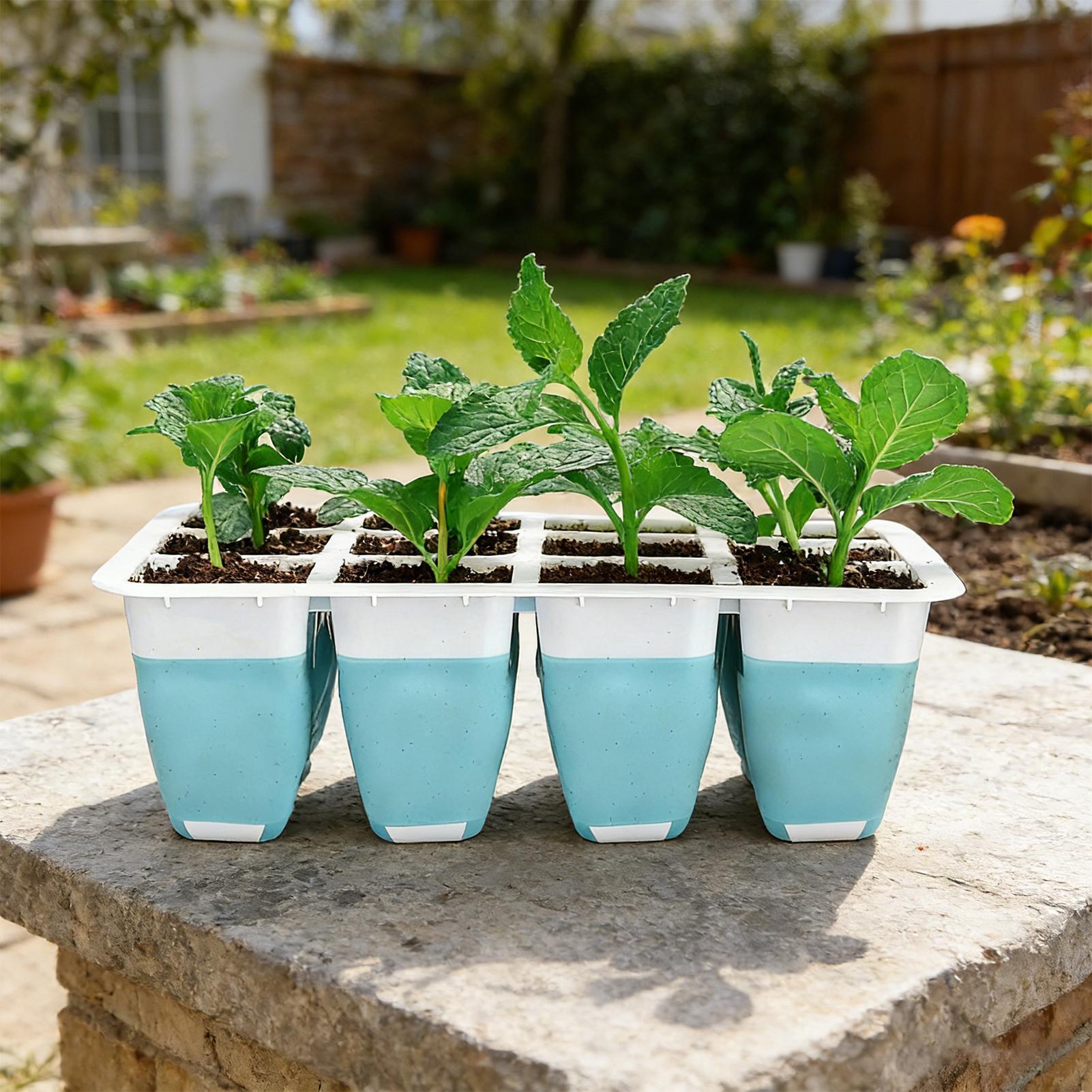 Набор из 5 силиконовых лотков  – обзор и цена Indoor Garden Kit