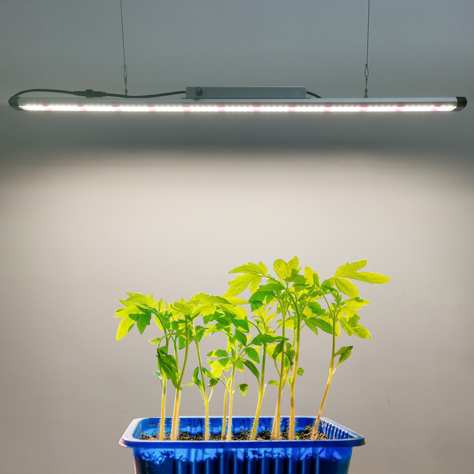 Светодиодная лампа для растени – обзор и цена Plant Grow Light Full Spectrum
