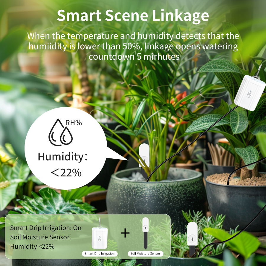 Умный тестер почвы Zigbee 3.0, – обзор и цена Plant Monitor