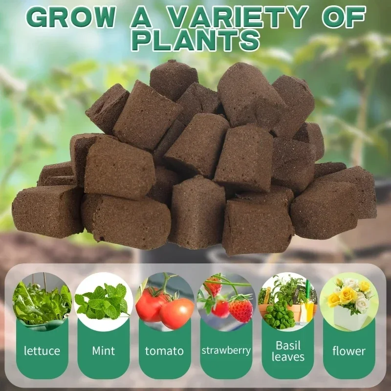 Набор губок для проращивания р – обзор и цена Indoor Garden Kit