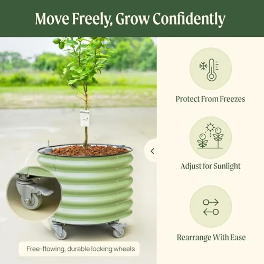 Круглые большие кашпо для цитр – обзор и цена Self Watering Planter