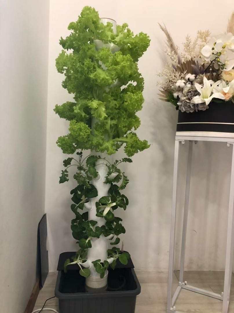 Вертикальная гидропонная/аэроп – обзор и цена Hydroponic Tower
