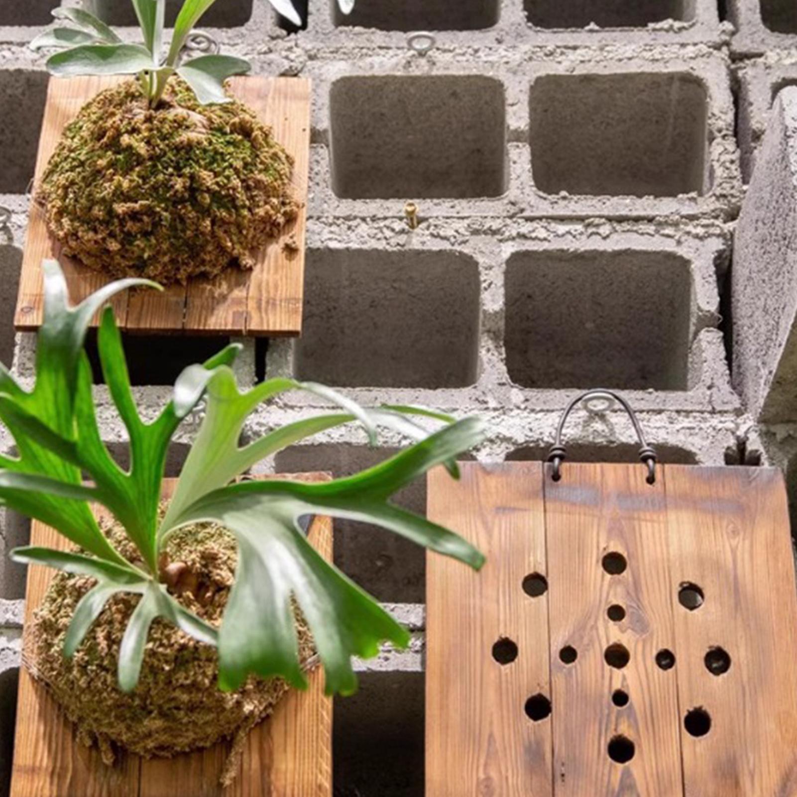 Настенная деревянная подставка – обзор и цена Indoor Garden Kit